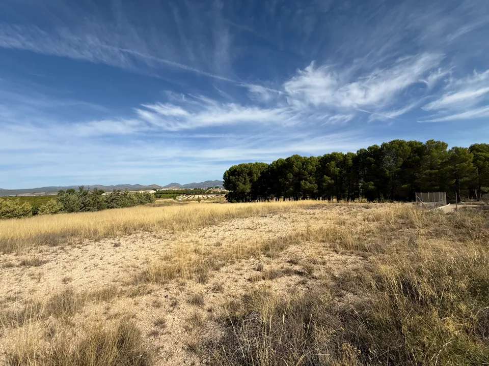Helårsgrund i Barranda, Murcia - foto 4